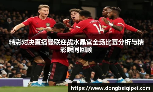 精彩对决直播曼联迎战水晶宫全场比赛分析与精彩瞬间回顾
